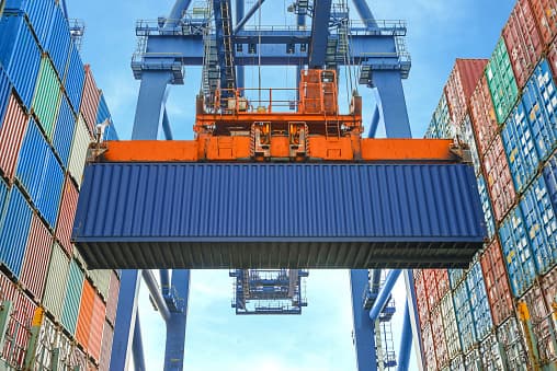 Logistics And Export 